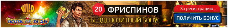 Бонусная программа Wild Blaster Casino