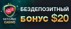 netgame